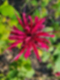 20220705_181954.jpg