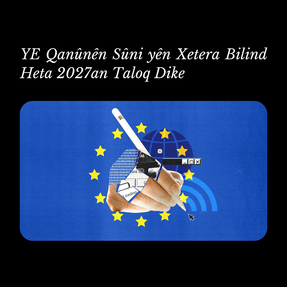 eu kürtçe website.png