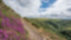 Purple Heather on Exmoor over Watersmeet