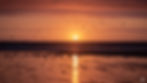 Woolacombe Beach Sunset with Birds and S