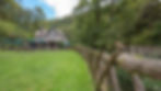 Watersmeet Robin