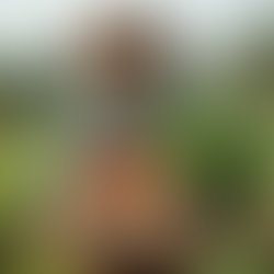 The American Farmer and What They Need to Keep Going