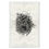 Thumbnail: Barloga Nest Studies