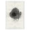 Thumbnail: Barloga Nest Studies