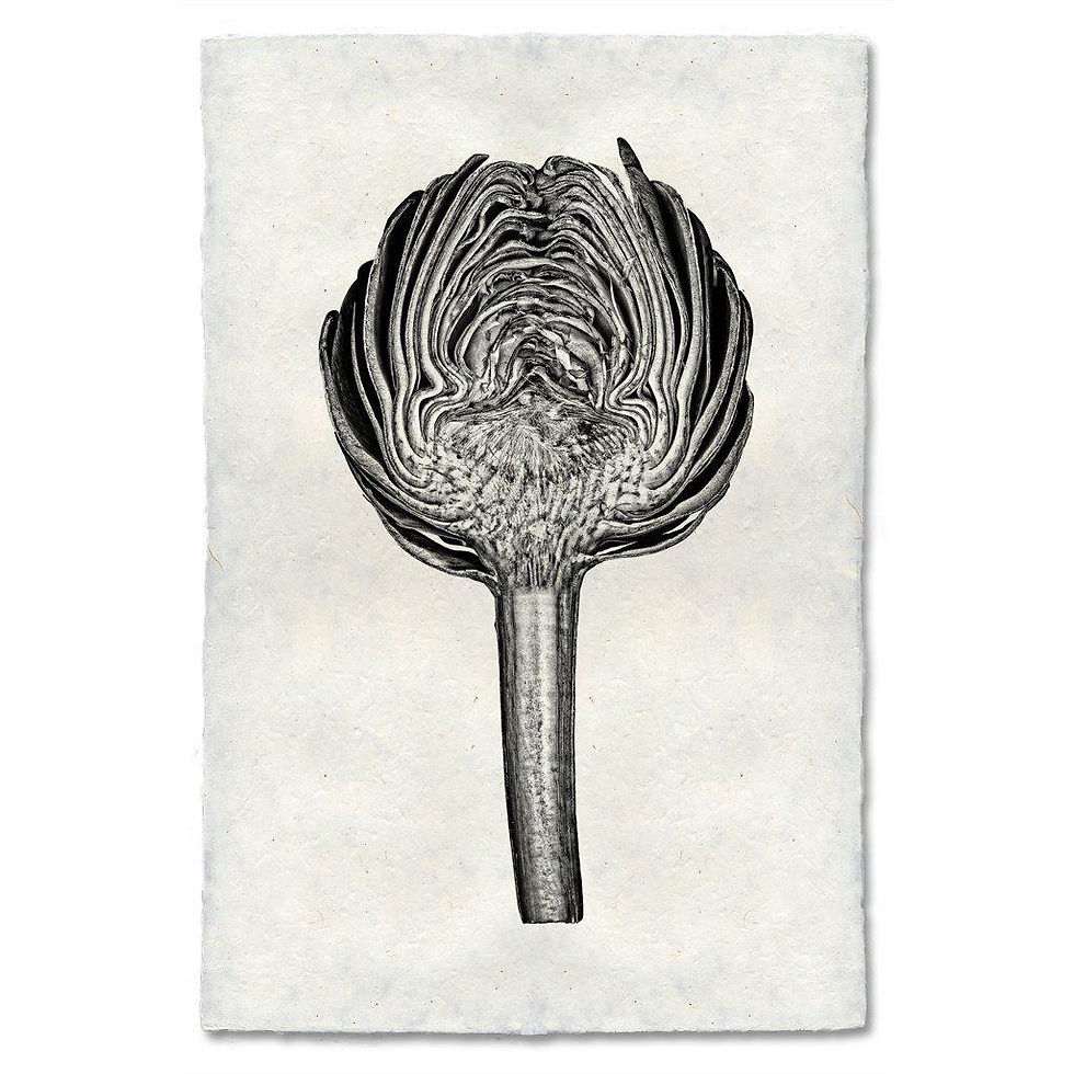 Thumbnail: Barloga Vegetable Studies