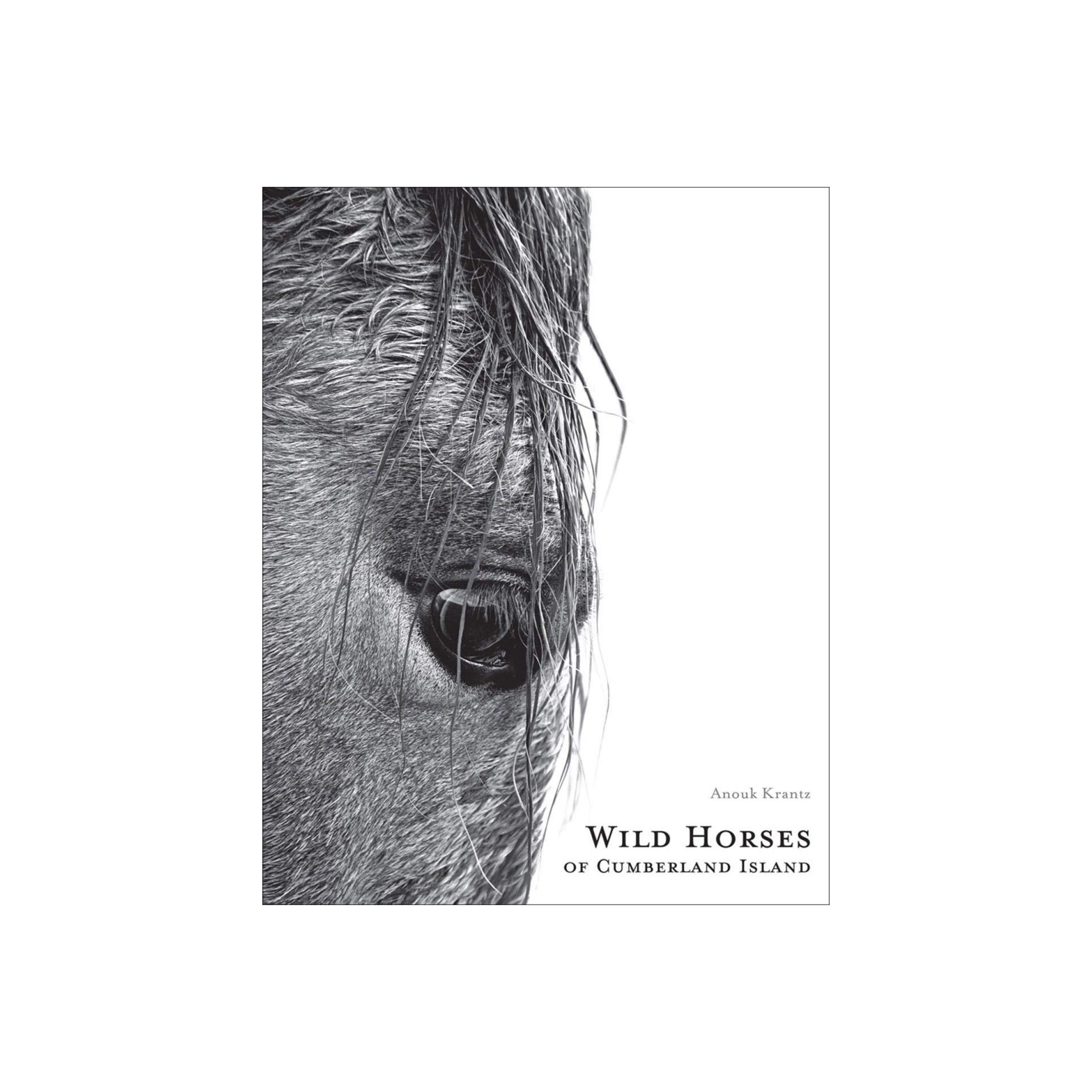 Wild Horses of Cumberland Island