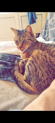 Simba