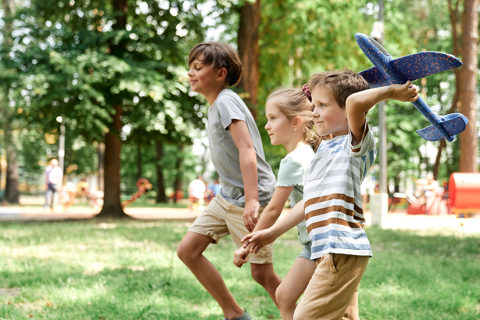 Family Picnic in the Park (Free event)