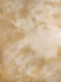 Venetian plaster finish.jpg