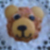 Fuzzy Bear Cupcake - $5.25