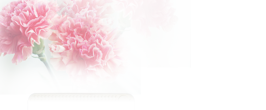 新图网_粉色康乃馨背景图_ixintu.com.png