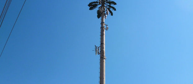 La falta de comprensión respecto del éxito de la Ley de Antenas