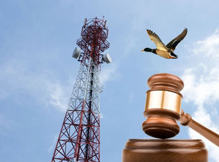 Peras, Manzanas y Patos: Las Demandas contra ATC en el Poder Judicial en Chile