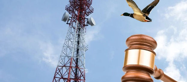 Peras, Manzanas y Patos: Las Demandas contra ATC en el Poder Judicial en Chile
