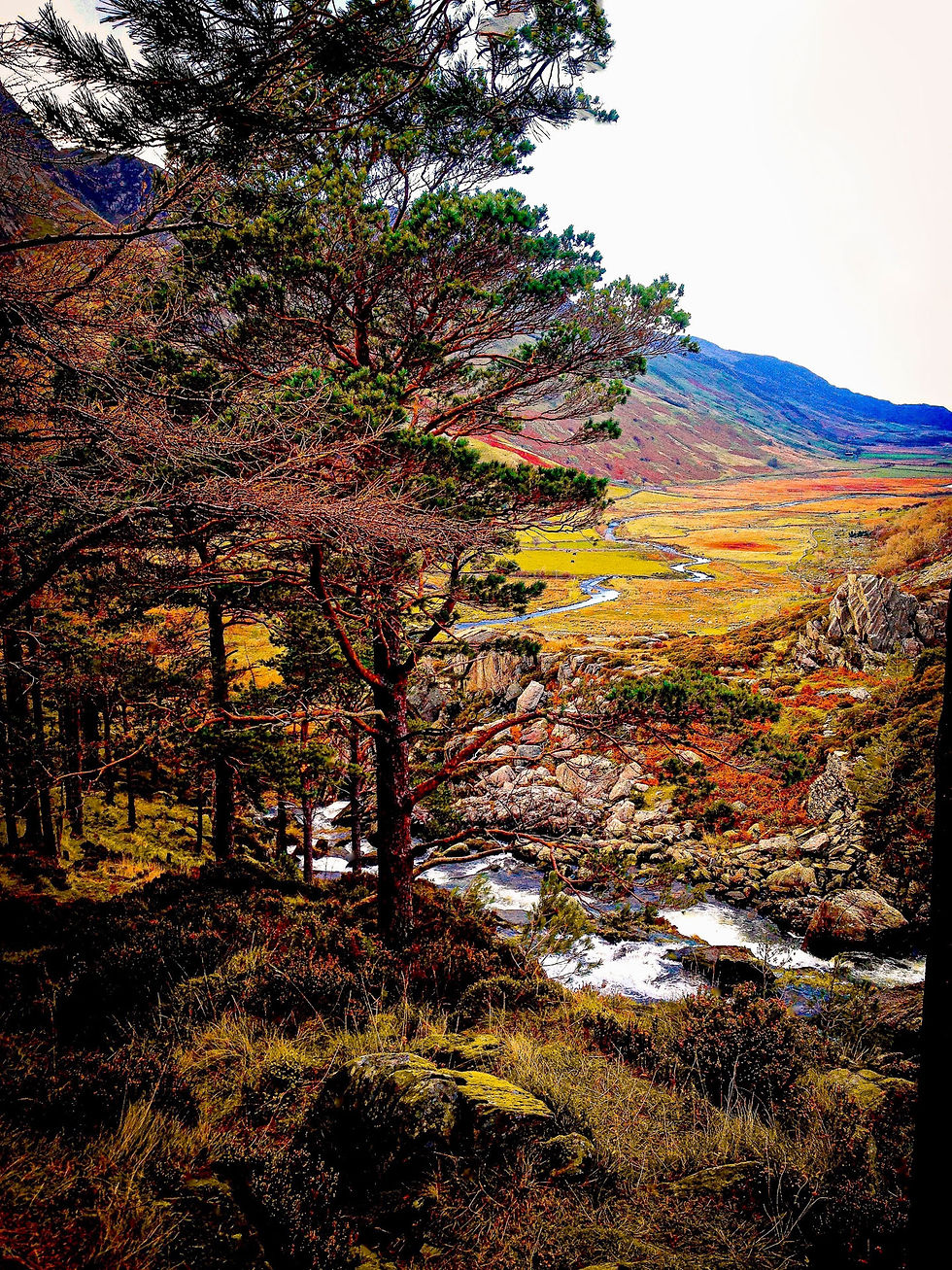 Autumnal Valley