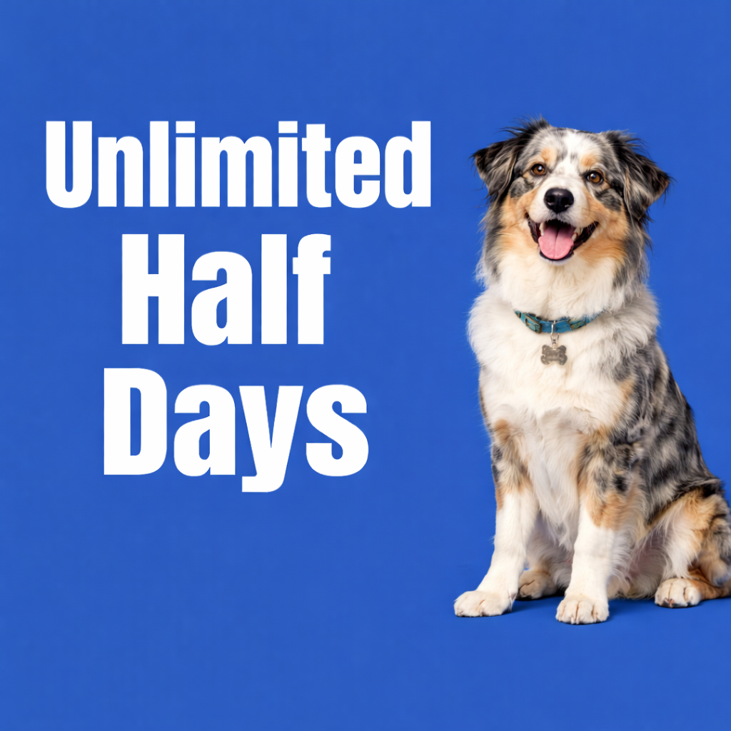 Unlimited Half Day Monthly Package