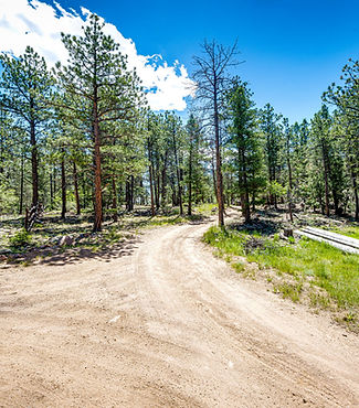 Pine Junction Colorado