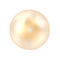 Untitled design (2).png