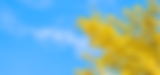 Top Banner.png
