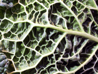 7 Reasons to Get More Magnesium