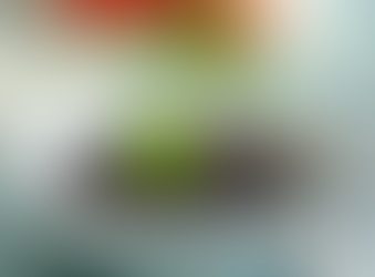 Falcon Trading Company, Inc. Issues a Recall on a the Following Organic Black Bean Items, that Contain Pesticide Residue