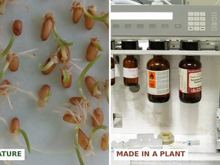Made in a Reactor: The Chemical Truth Behind the “Natural” Peptide Craze