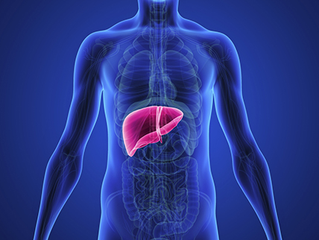 Liver Function and Cholesterol Levels: The Critical Connection