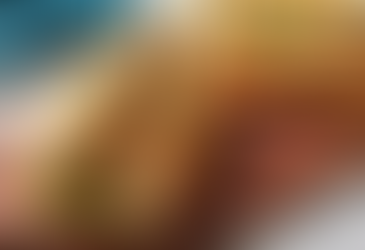 Five-Spice Chicken Banh Mi Sandwiches