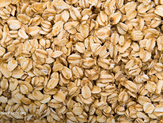 Mold Toxins in Cereals, Herbs, Spices, and Wine