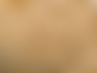 Mold Toxins in Cereals, Herbs, Spices, and Wine