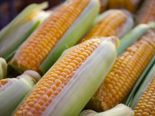 6 Truths About Corn That May Shock You