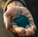 We Are, In Part, Cyanobacteria: What a Blue Pigment Remembers