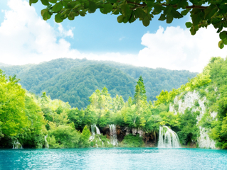Nature's Healing Power: How Viewing Real Plants Reduces Stress and Promotes Relaxation