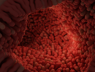 L-Glutamine: The Most Important Gut Repair Nutrient (360 review)
