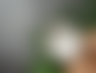 Is Coconut Good for You — or Too Good To Be True?