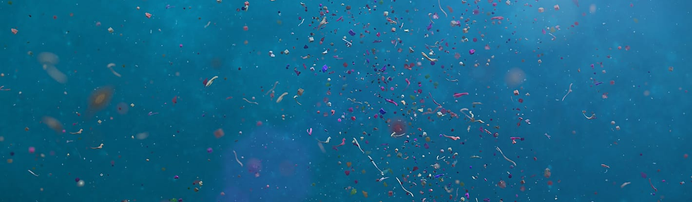 Microplastics are tiny pieces of plastic smaller than five millimeters, about the size of a pencil eraser or a small peppercorn. To put this in perspective, many are much smaller and even so microscopic that they are invisible to the naked eye. These microplastic particles are found throughout our modern environment, and new research shows they’re now found in human tissues, including our brains.