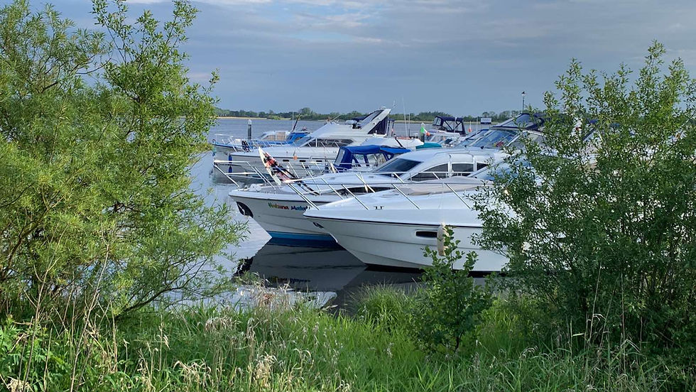 Lanesbourgha7.JPG