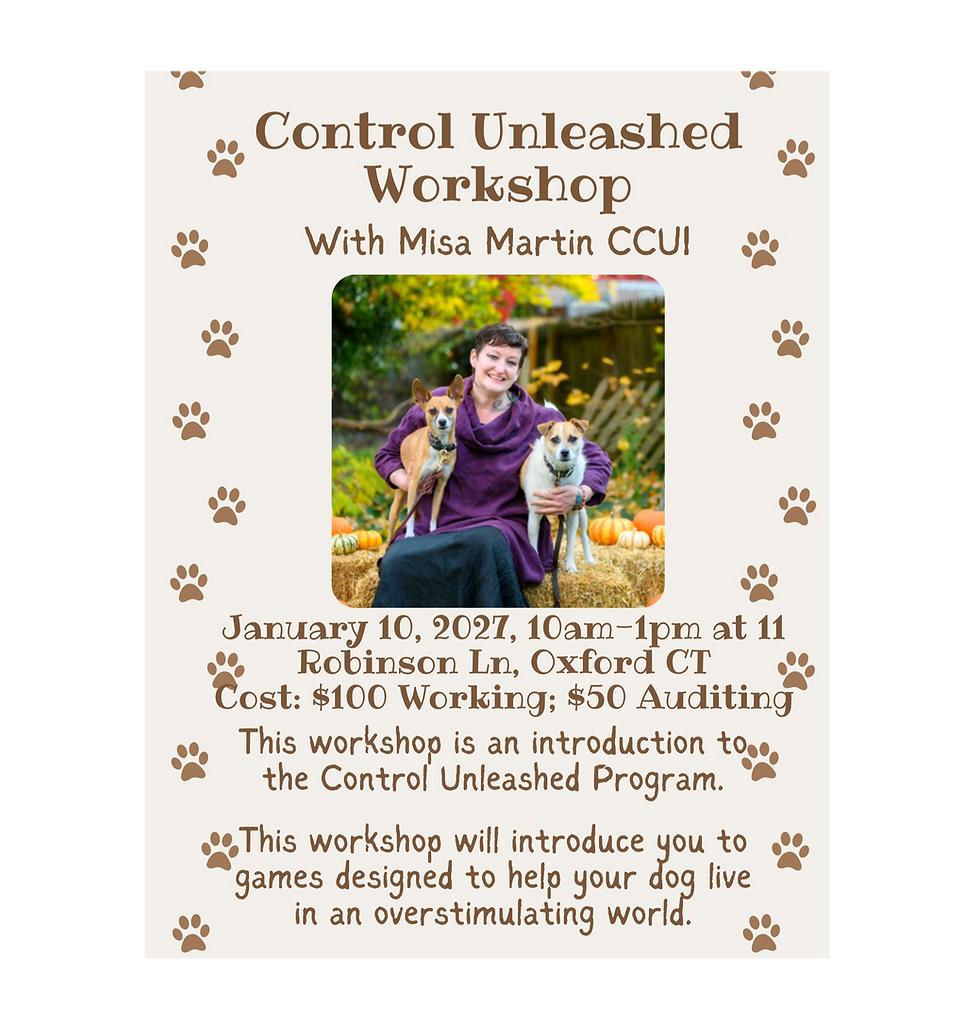 Control Unleashed Workshop with Misa Martin CCUI