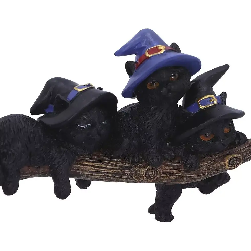 Miniatura: Purrfect Broomstick - Gattini su Scopa 27,5cm
