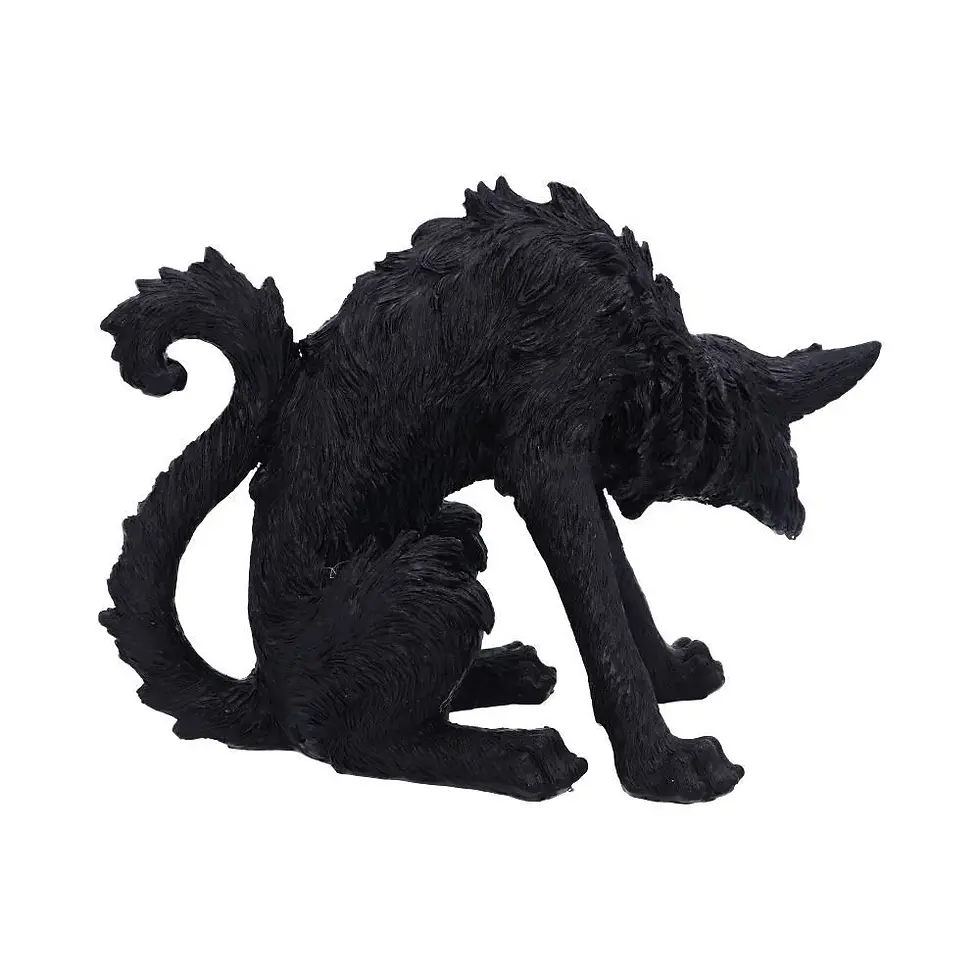 Miniatura: Spite - Gatto Spettinato 16cm