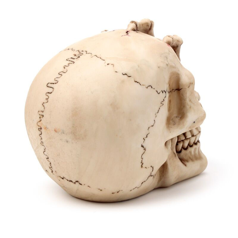 Miniatura: Frustration of Death 12cm