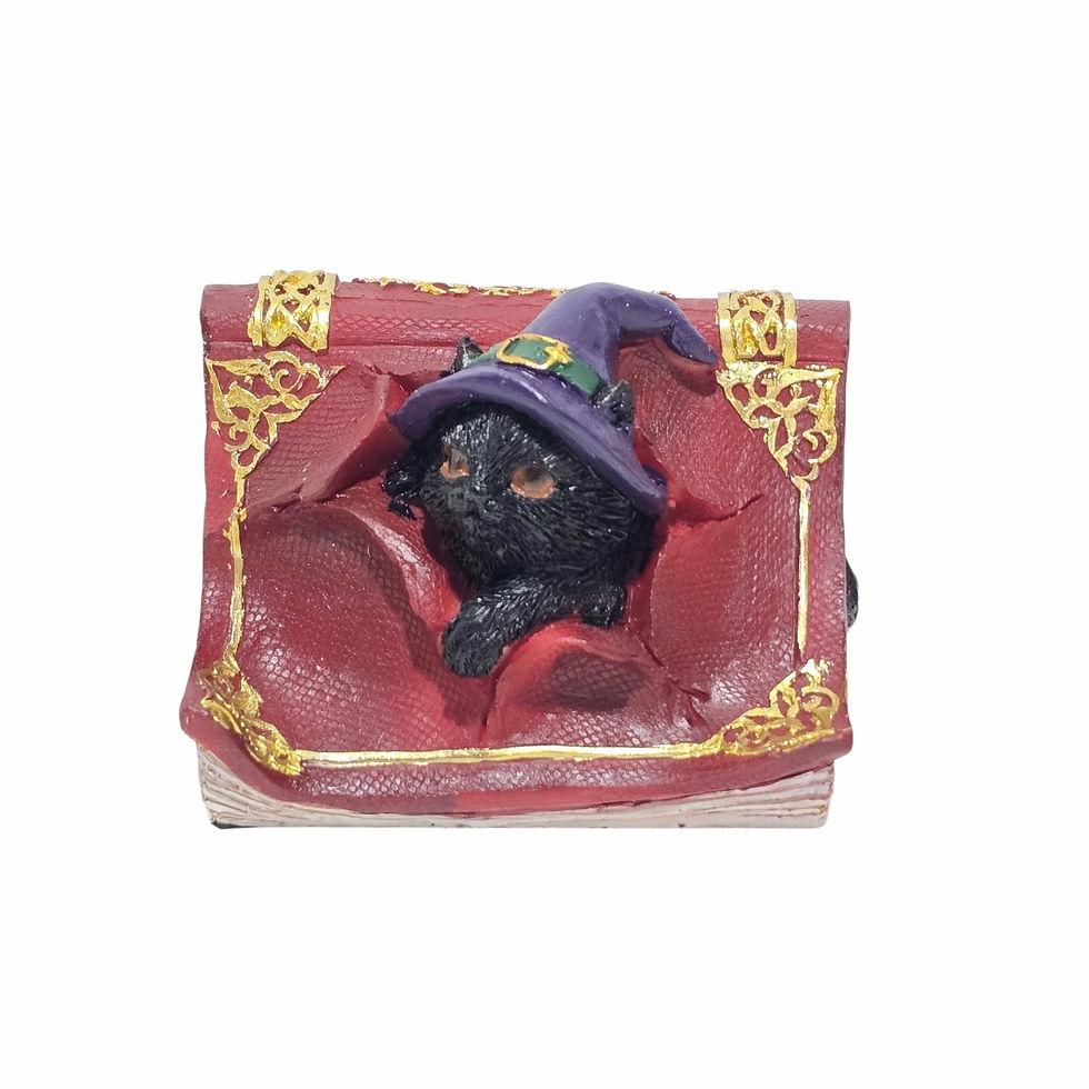Miniatura: Purrfect Spell vista frontale B Gattino Stregone che Spunta dal Libro Magico Puckator 8cm