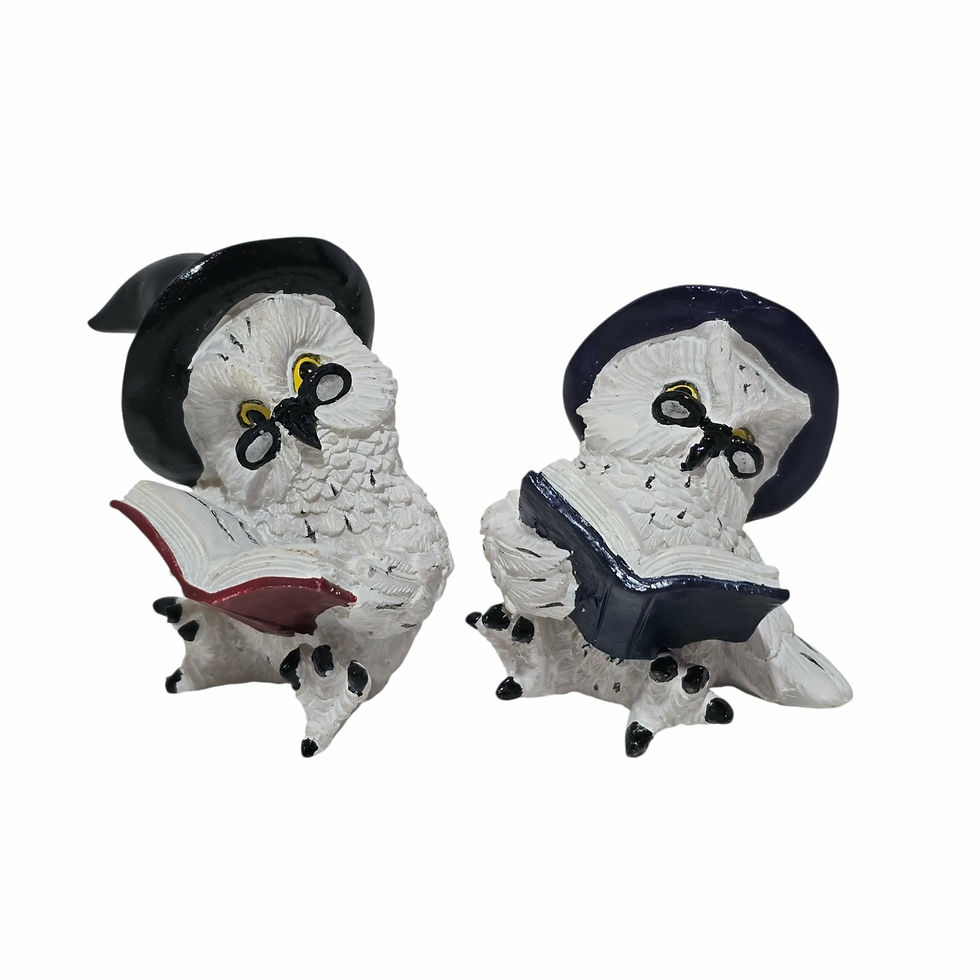 Wizard's Apprentice vista gruppo Gufo Mago con Libro Puckator 7cm
