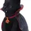 Miniatura: Count Catula - Gatto Vampiro 15,5cm