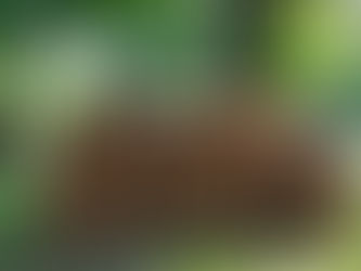 Guide to Choosing and Storing Firewood in Fort Oglethorpe