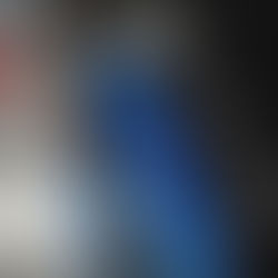 Disability and Mobility Needs