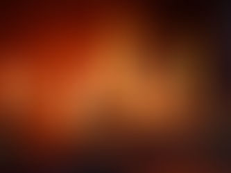 Do Gas Logs Need Maintenance? Everything Homeowners in Summerville Need to Know