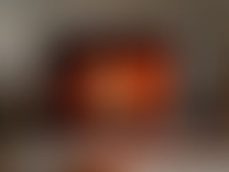 Avoiding the Top 10 Mistakes Homeowners Make with Their Fireplaces: Essential Tips for Safety and Efficiency