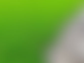 Do You Need a French Drain? Signs of Poor Drainage in Your Yard or Lot