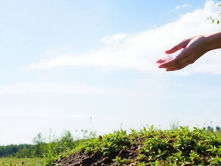 How to Safely Dispose of Ashes in Calhoun